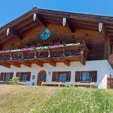 Haus Obweg - Postalm Aparthotel Hallein Kültér fotó