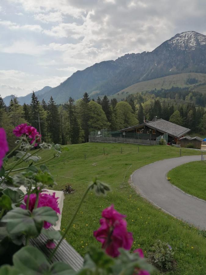 Haus Obweg - Postalm Aparthotel Hallein Kültér fotó
