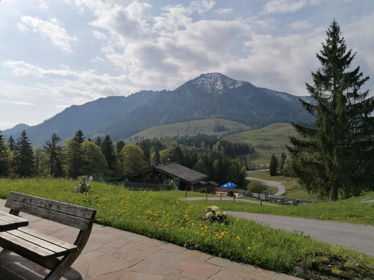 Haus Obweg - Postalm Aparthotel Hallein Kültér fotó