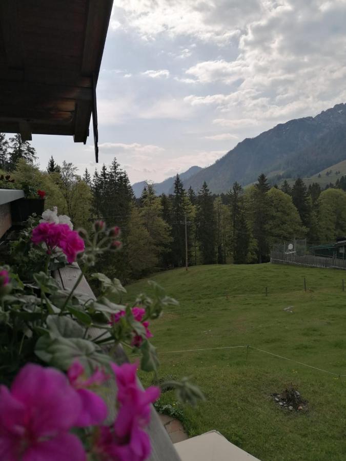 Haus Obweg - Postalm Aparthotel Hallein Kültér fotó